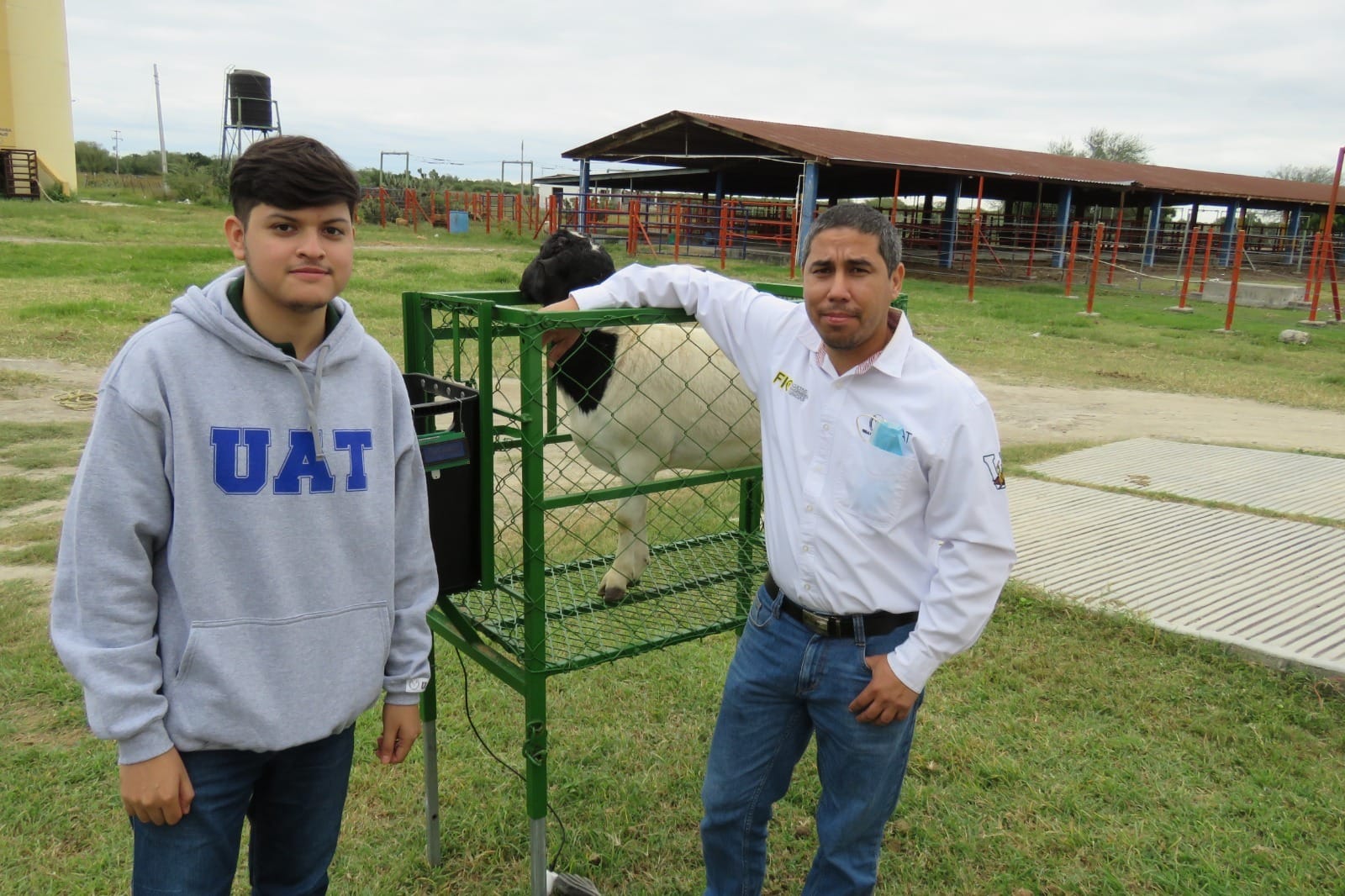 Estudiante de la UAT desarrolla innovador sistema de monitoreo dealimentación de borregos