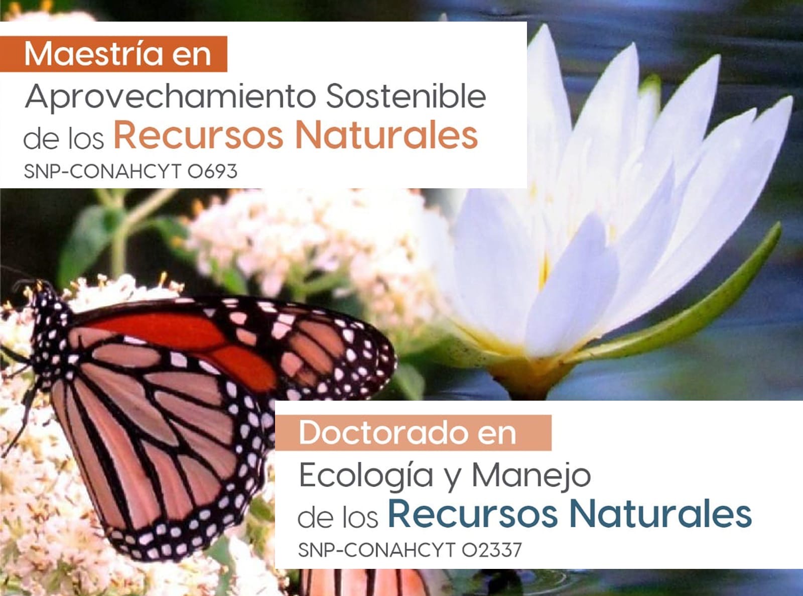 Convoca la UAT a cursar posgrados en áreas de ecología y recursosnaturales